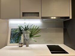 The M (D7), Apartment #553356881